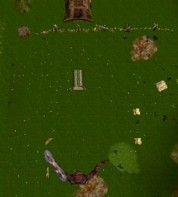 Being made a "Jester's Fool"