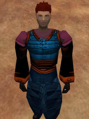 File:Lesser Amuli Armor of Frost Live.jpg