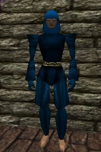 File:Chainmail Armor Colban Live.jpg