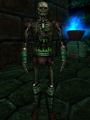 File:Lesser Acolyte (Level 44) Live.jpg