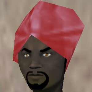 File:Turban Fail Live.jpg