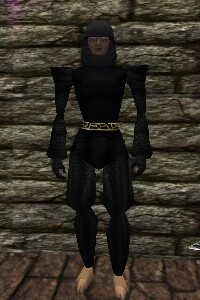 File:Chainmail Armor Thananim Live.jpg